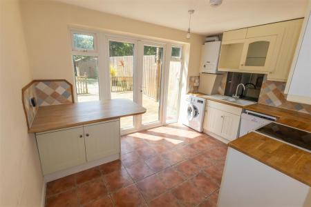 Hawk Close-06 - t.jpeg