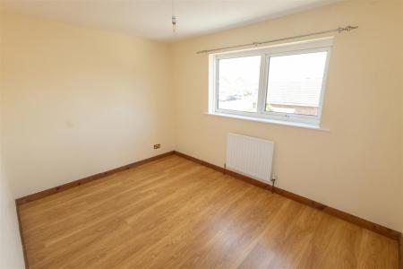 Hawk Close-14 - t.jpeg