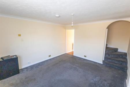 Hawk Close-04 - t.jpeg