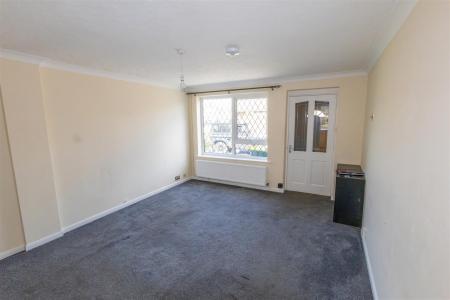 Hawk Close-05 - t.jpeg