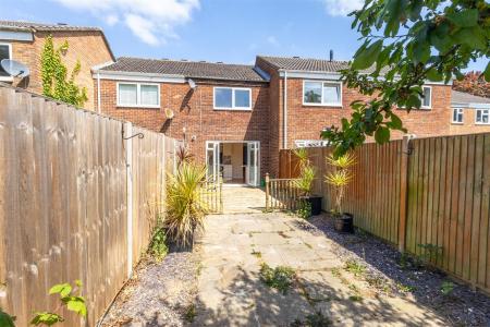 Hawk Close-10 - t.jpeg