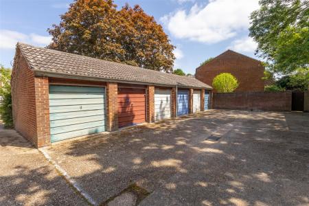 Hawk Close-17 - t.jpeg