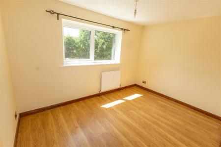 Hawk Close-11 - t.jpeg