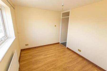 Hawk Close-15 - t.jpeg