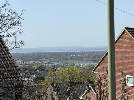 IMG_3983.JPG