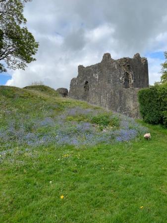 Photo 13