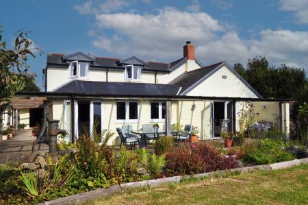 Media image 03