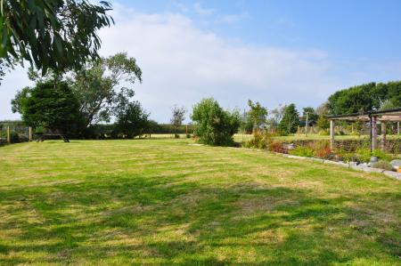 Media image 04