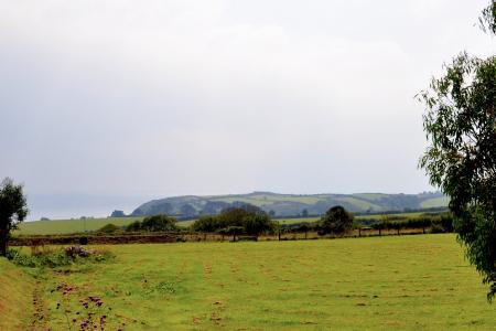 Media image 23