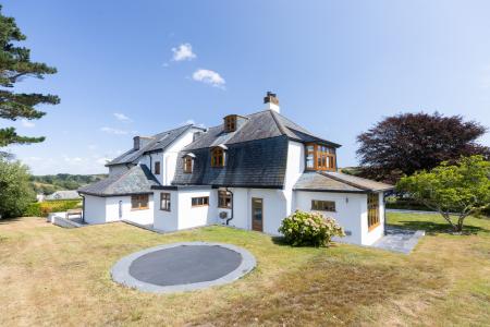 Media image 35