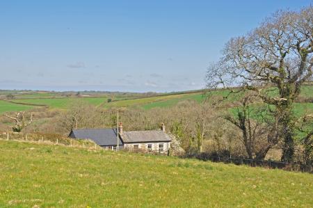 Media image 18