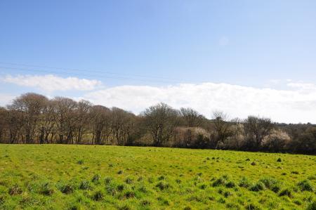 Media image 22