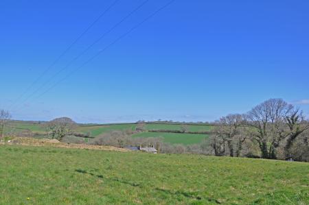 Media image 20
