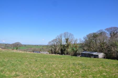 Media image 24