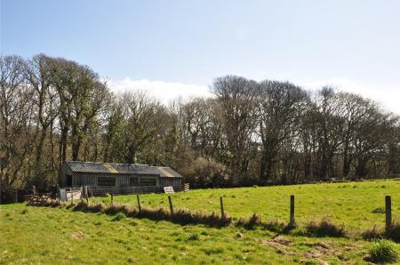 Media image 04