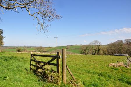 Media image 03