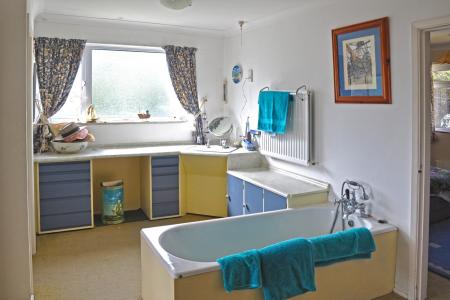 Media image 13