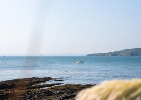Media image 30