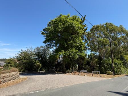 Media image 22