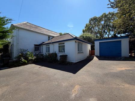 Media image 02