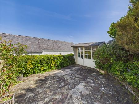 Media image 31