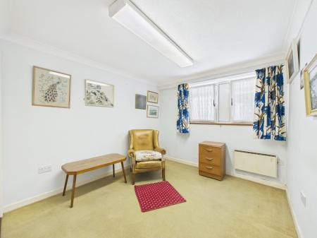 Media image 15