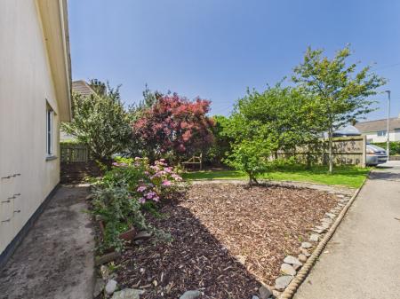 Media image 20