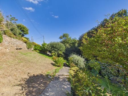 Media image 25