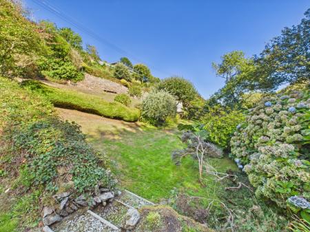 Media image 29
