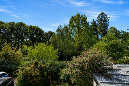 View from Bedroom