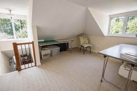 Study Area