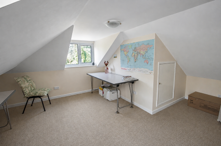 Study Area