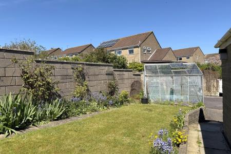 Back Garden