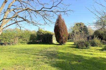 Weston Street, Buckhorn Weston