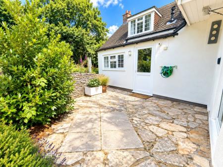 Back Garden