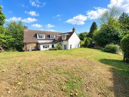 Back Garden