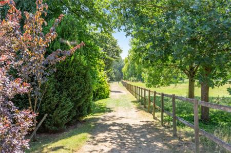 Estate Grounds