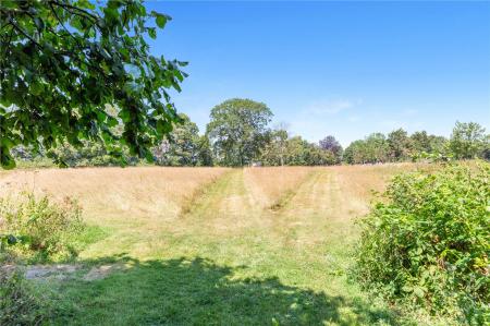 Private Paddock Land