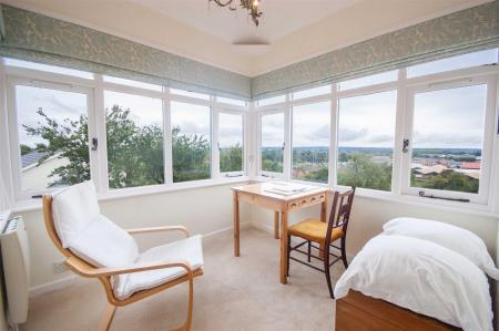 Master Balvedere.jpg