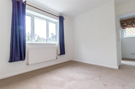 Picture No. 19