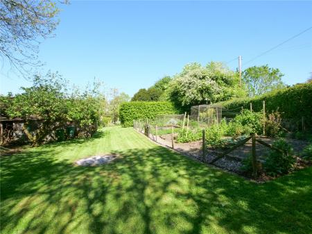 Veg Garden
