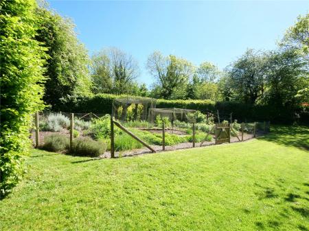Veg Garden