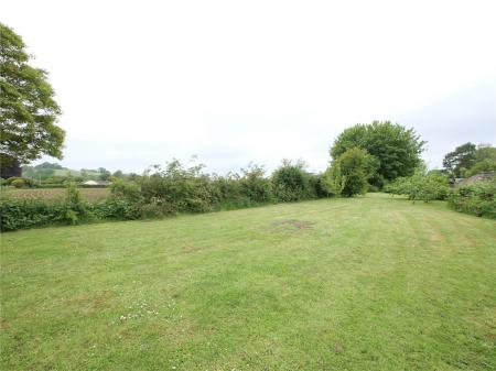 Development Plot