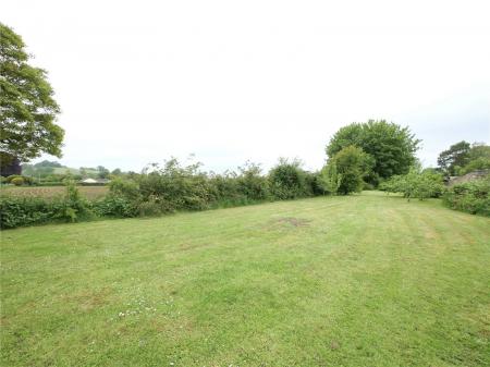 Development Plot