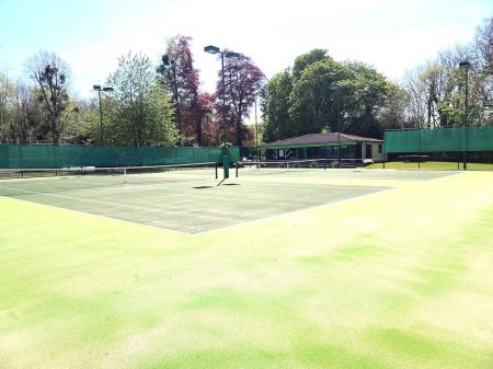 Bishop Sutton Tennis