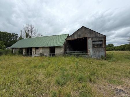 Picture No. 53