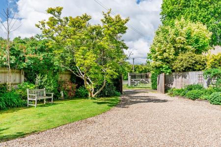 Garden & Driveway