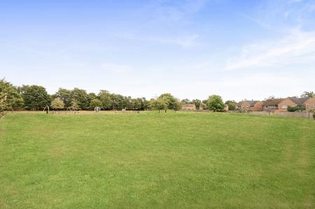Communal Field