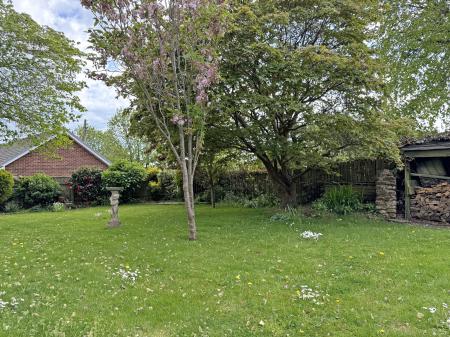 Photo 29
