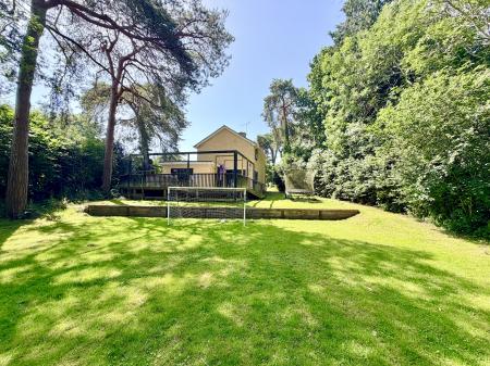 Garden 1